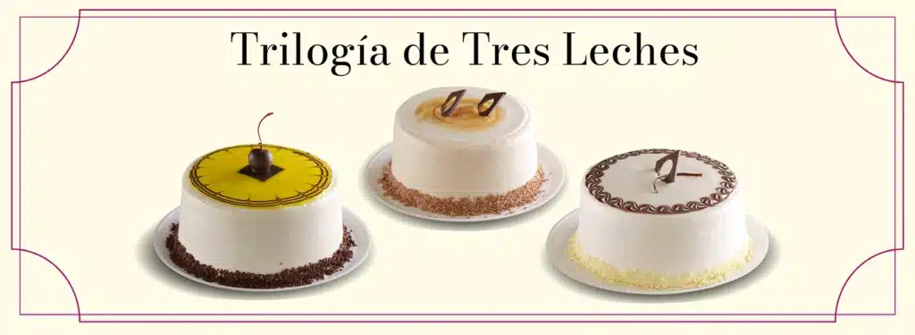 Pastel Tres Leches de 10 porciones sin fondo – Pastelería Aranzazu